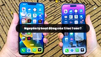 Nguyên lý hoạt động của True Tone