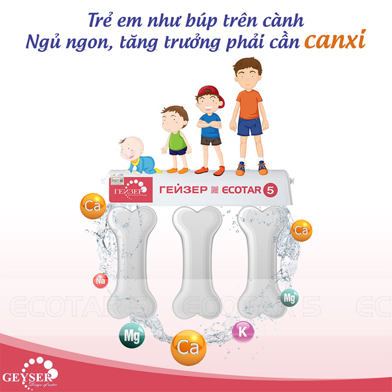 Máy lọc nước Geyser Ecotar 5 loại bỏ chất độc hại
