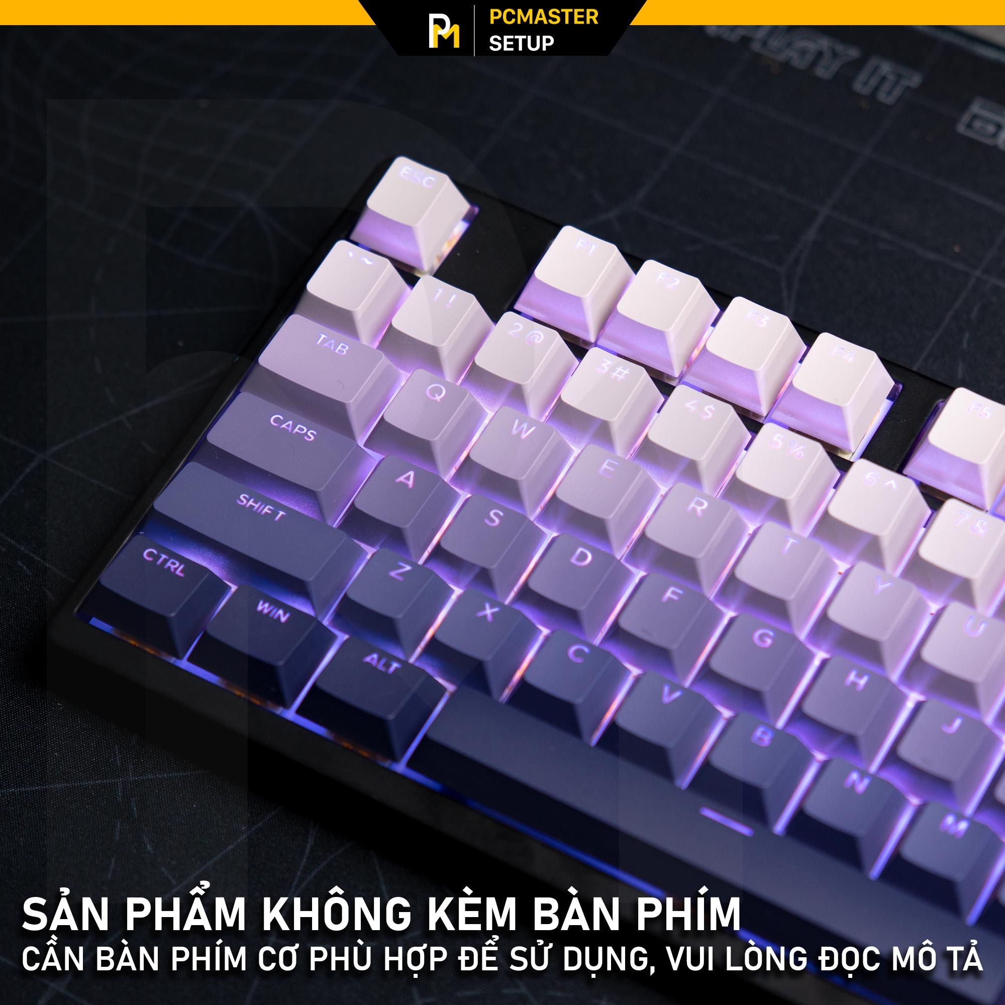 Keycaps xuyên led TOP PRINT - VIOLET ( OEM/ PBT/ Doubleshot )
