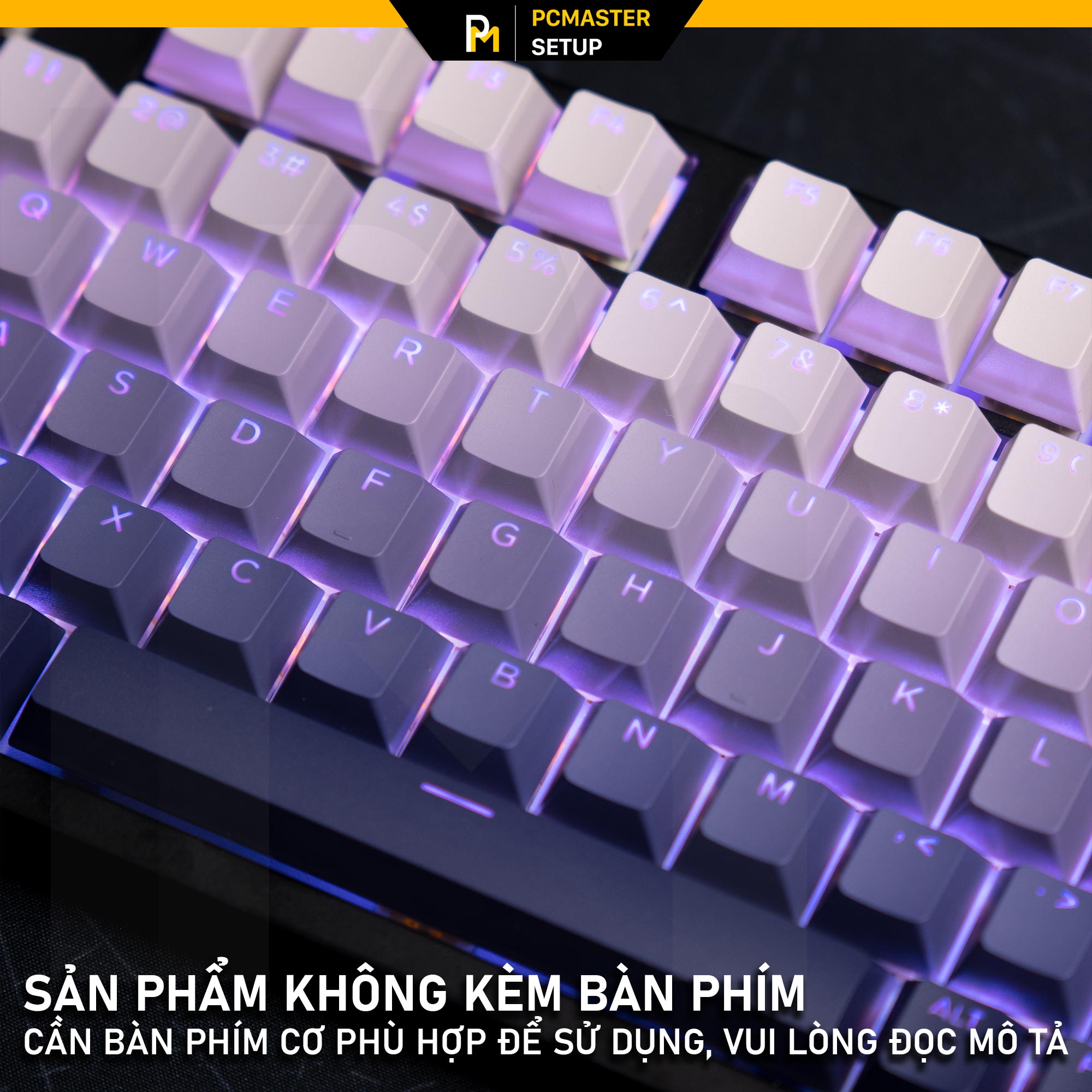 Keycaps xuyên led TOP PRINT - VIOLET ( OEM/ PBT/ Doubleshot )