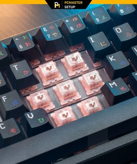 Switch bàn phím cơ