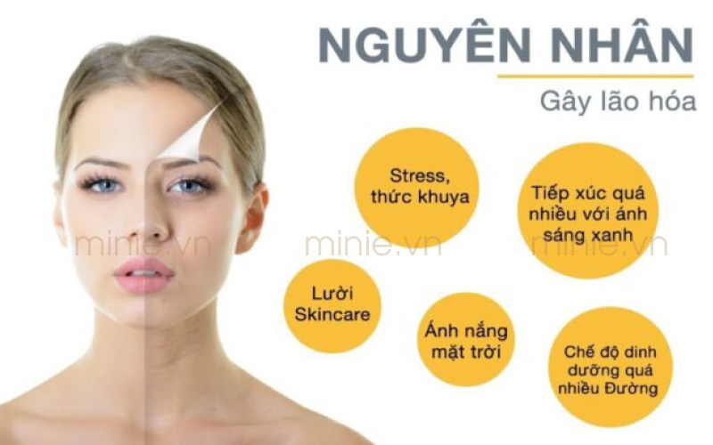 nguyên nhân gây lão hoá da hiện nay