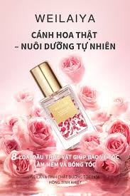 Tinh dầu dưỡng tóc WEILAIYA chiết xuất cánh hoa hồng phục hồi tóc hư tổn, giảm sơ rối, chẻ ngọn, không gây bết dính