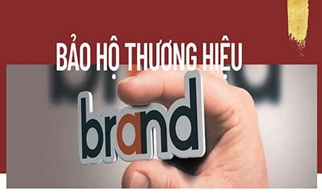 Đăng Ký Bảo Hộ Thương Hiệu Thành Công – Đồ Chơi Plaza: