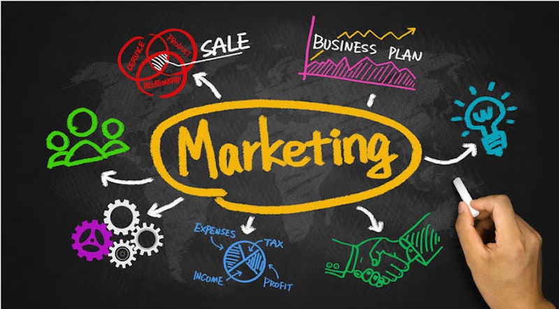 Quyền hạn của Phó Giám đốc Marketing và Truyền thông Đồ Chơi Kinh Bắc