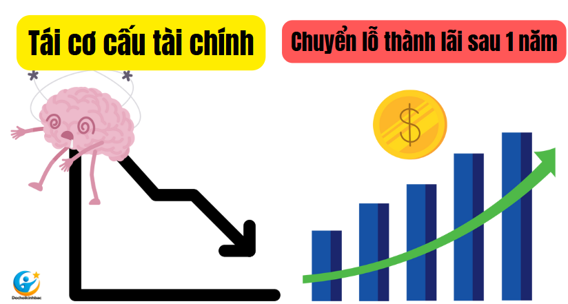 Tái Cơ Cấu Tài Chính: Chuyển Bại Thành Thắng Sau 1 Năm Vận Hành!