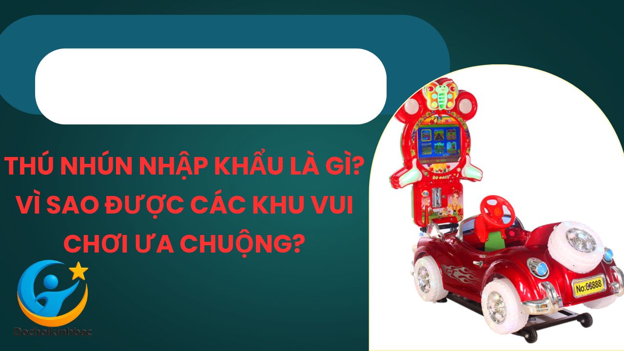 Thú Nhún Nhập Khẩu Là Gì? Vì Sao Được Các Khu Vui Chơi Ưa Chuộng?