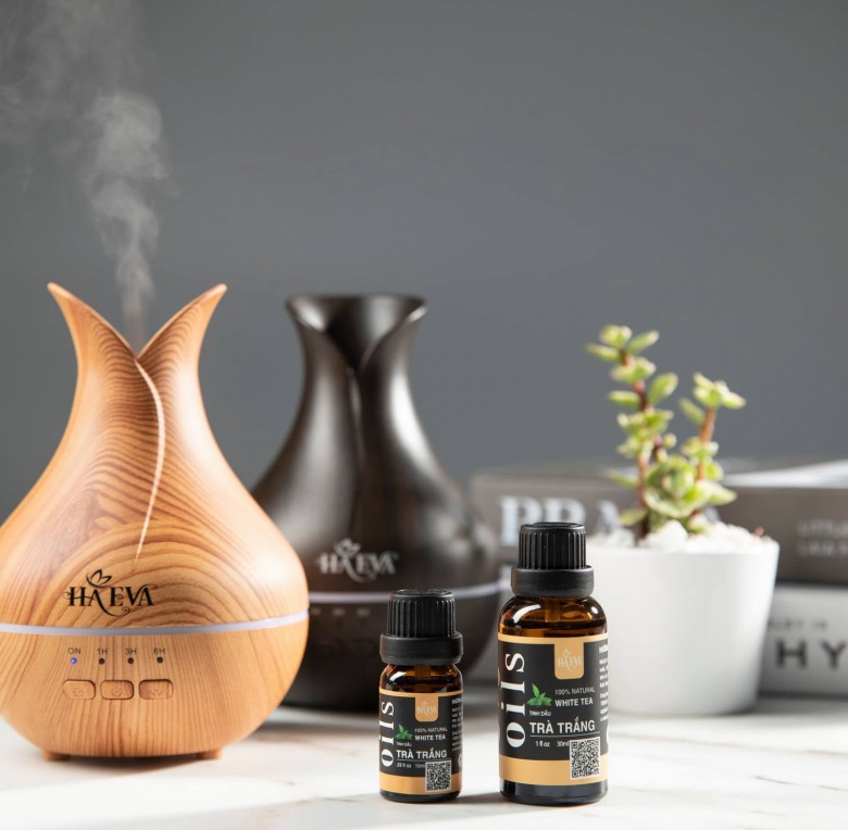 Mở cửa hàng máy xông tinh dầu trong các khu vui chơi giải trí  một ý tưởng độc đáo và thu hút khách hàng,