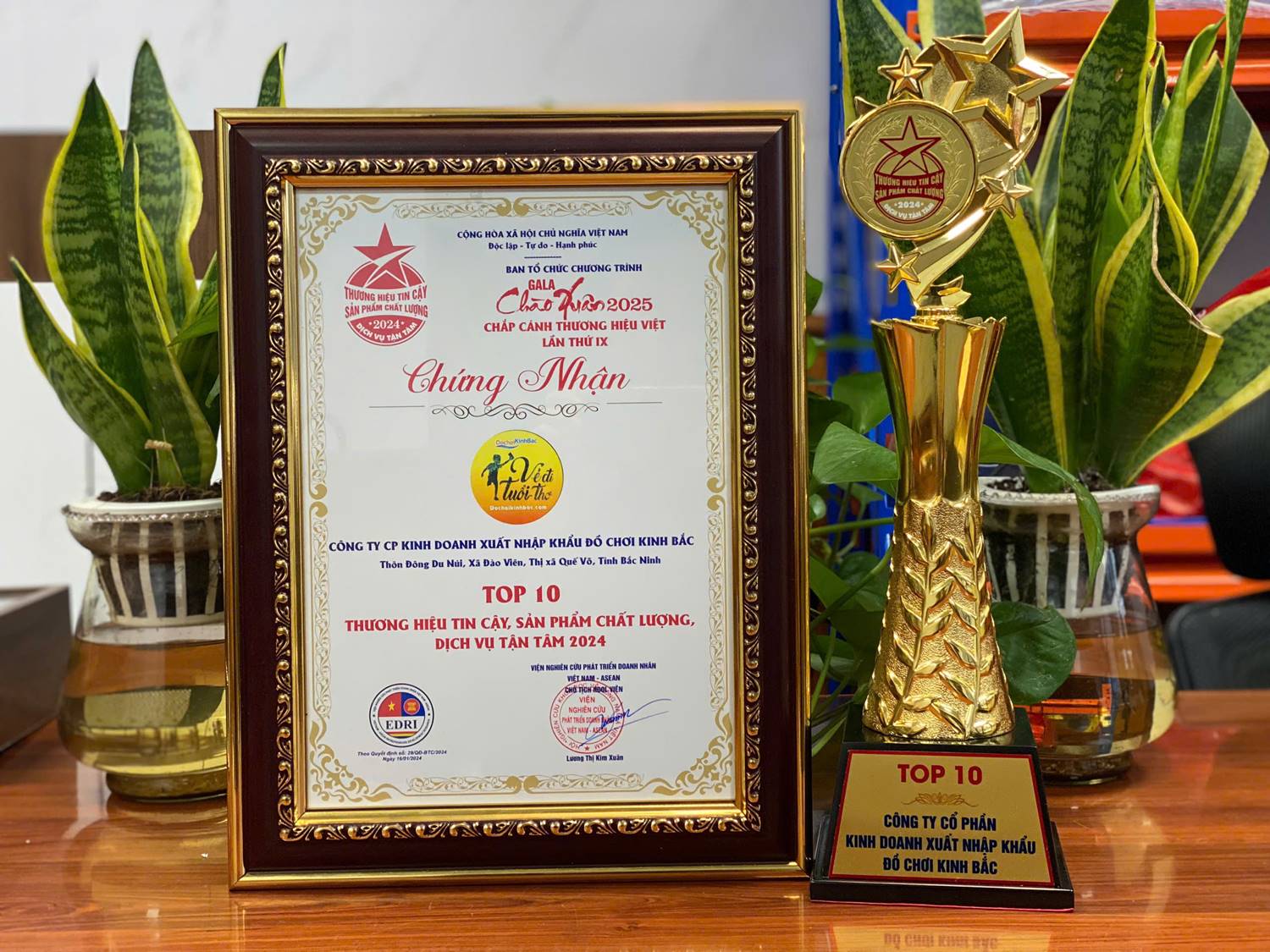 Bí Quyết Thành Công Của Đồ Chơi Kinh Bắc Trong Lĩnh Vực Đầu Tư Khu Vui Chơi