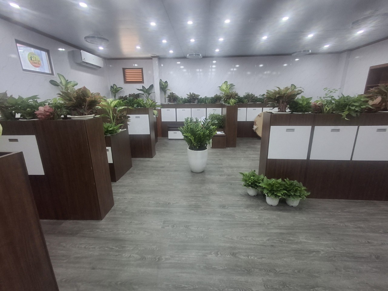 ĐỒ chơi kinh bắc