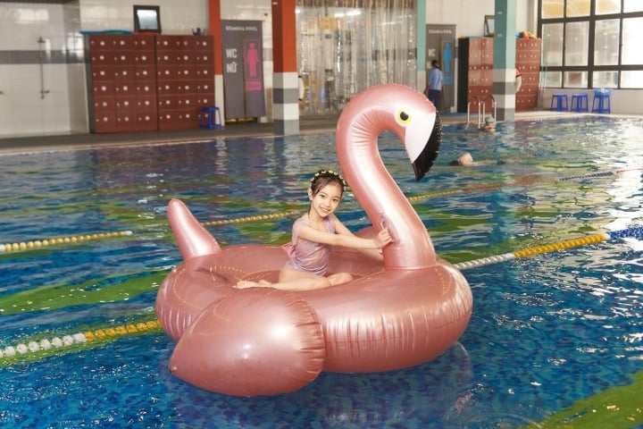 Khám Phá Stamina Pool 