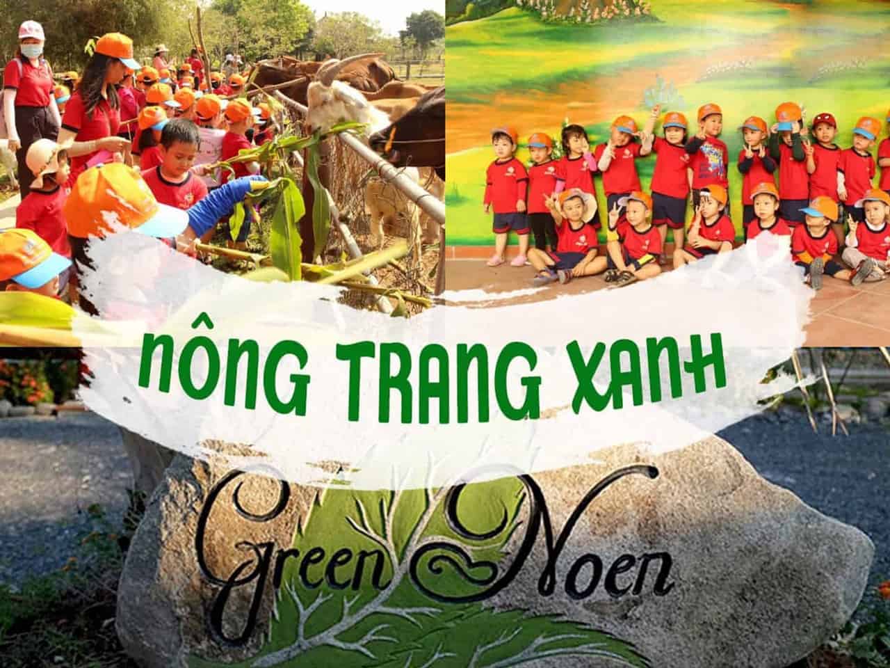 Green Noen – Nông Trang Xanh Củ Chi: Điểm Đến Sinh Thái Hấp Dẫn Cho Cả Gia Đình