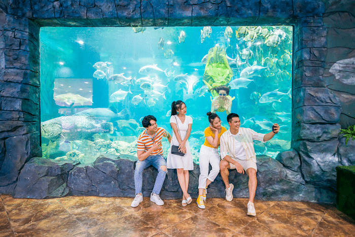 Khám Phá VinKE Times City – Khu Vui Chơi Giáo Dục và Giải Trí Hàng Đầu