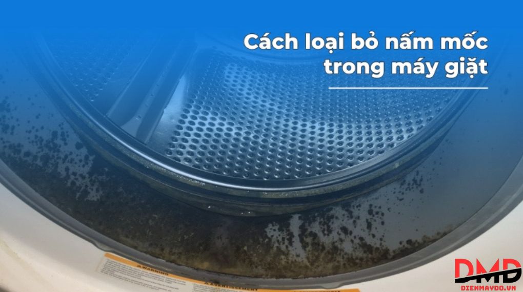 Hướng dẫn vệ sinh máy giặt sạch nấm mốc tại nhà