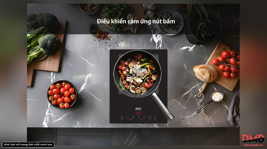 Bếp từ đơn Lorca TA 1017 PLUS