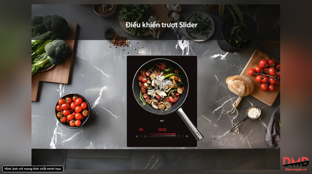 Bếp từ đơn Lorca TA 1018 PLUS