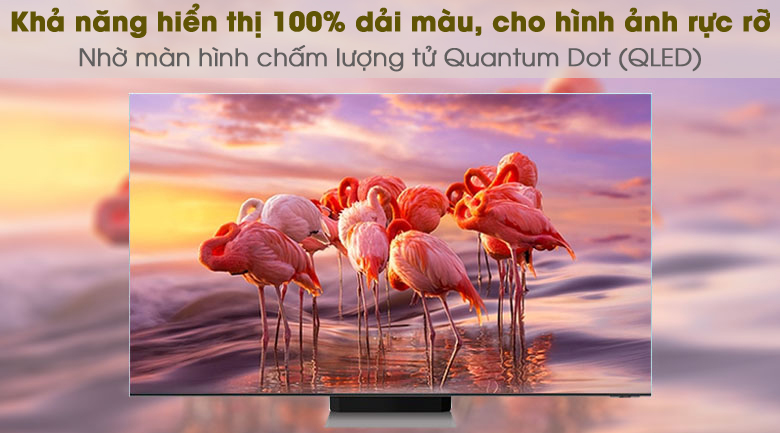 Đánh giá chi tiết Tivi Samsung 55 inch QLED 2024