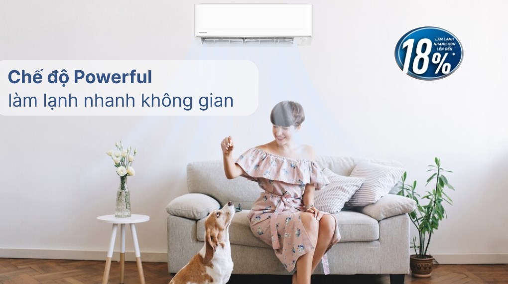 Điều hòa Panasonic Inverter 1 HP CU/CS-RU9AKH-8