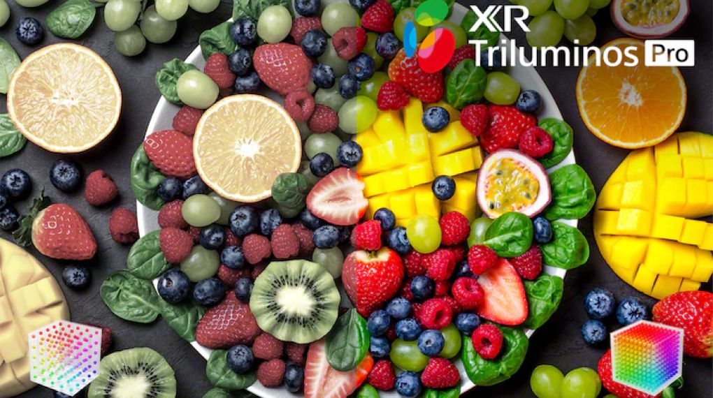 Google Tivi Sony 4K 65 inch XR-65X90K