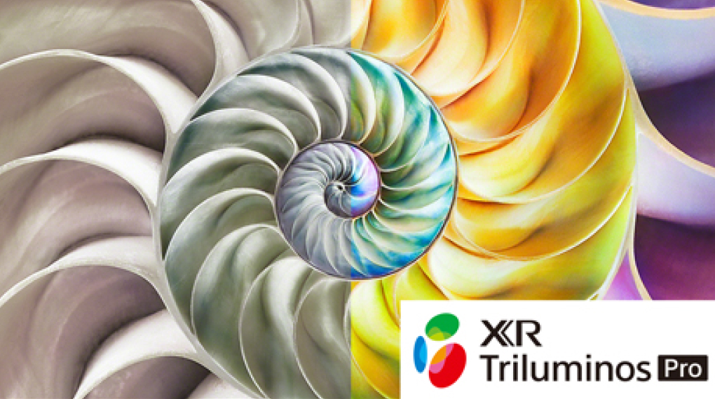 Google Tivi Sony 4K 85 inch XR-85X90L