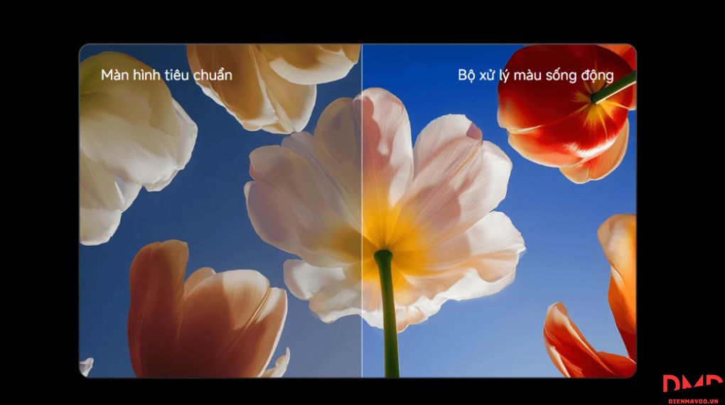 Google Tivi Xiaomi S QD-MiniLED 4K 85 inch L85MC-STWN