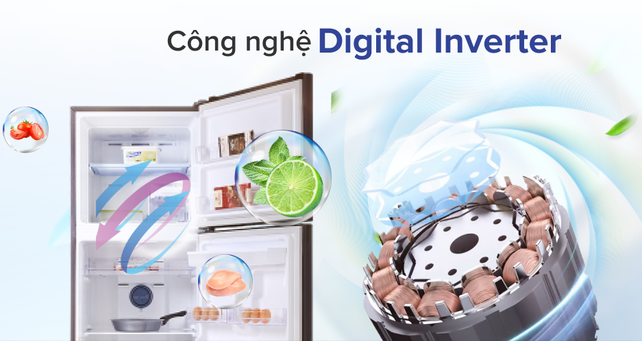 So Sánh Tủ Lạnh Samsung, Panasonic và Hitachi Lựa Chọn Nào Tốt Hơn?