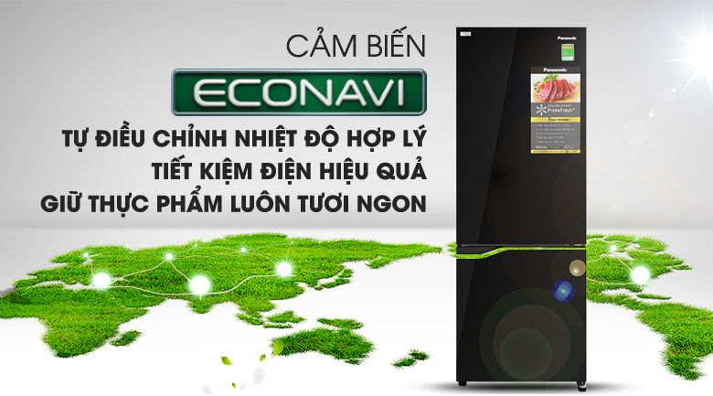 Tủ lạnh Panasonic Inverter 290 lít NR-BV320GKVN