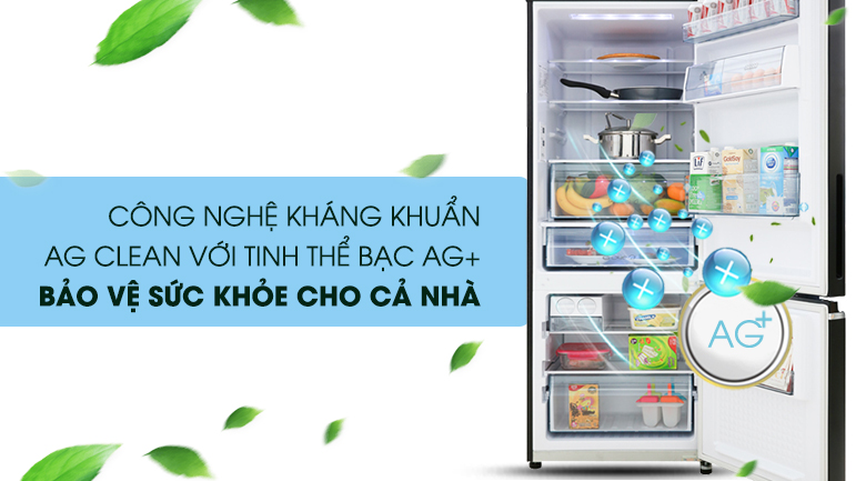 Tủ lạnh Panasonic Inverter 290 lít NR-BV320GKVN