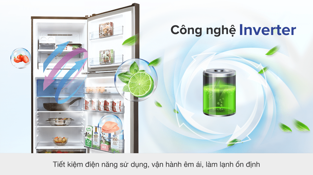 Tủ Lạnh Panasonic Inverter 326 Lít NR-TL351GPKV