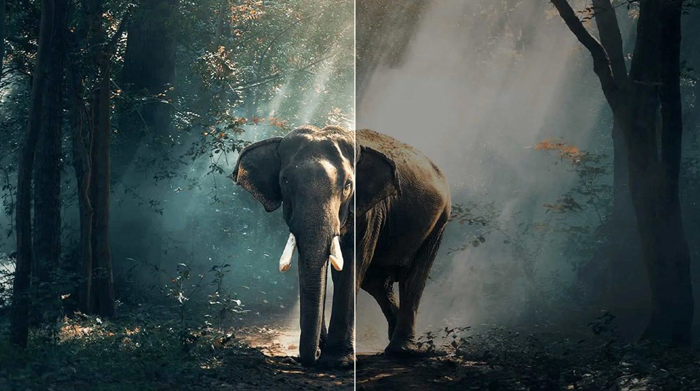 Phân tích chi tiết về công nghệ màn hình Tivi TCL 4K
