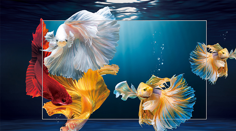 Tivi OLED là gì ? So sánh giữa tivi OLED với tivi 4K LED, tivi QLED