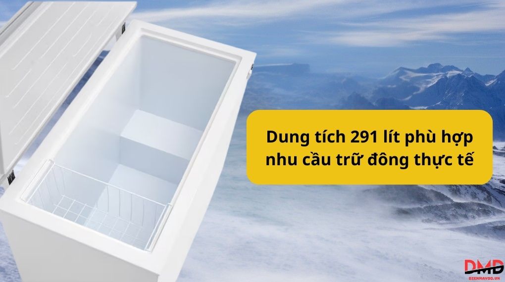 Tủ đông LG Inverter 291 lít C30WH