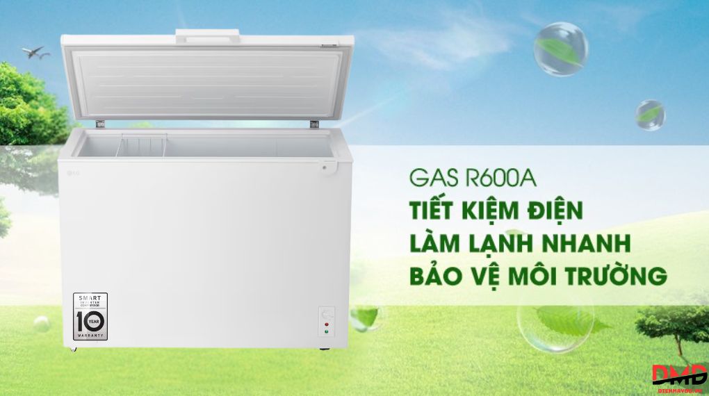 Tủ đông LG Inverter 291 lít C30WH