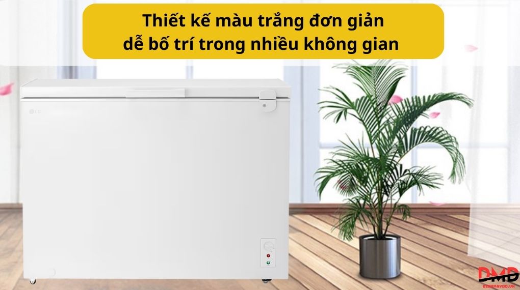 Tủ đông LG Inverter 291 lít C30WH
