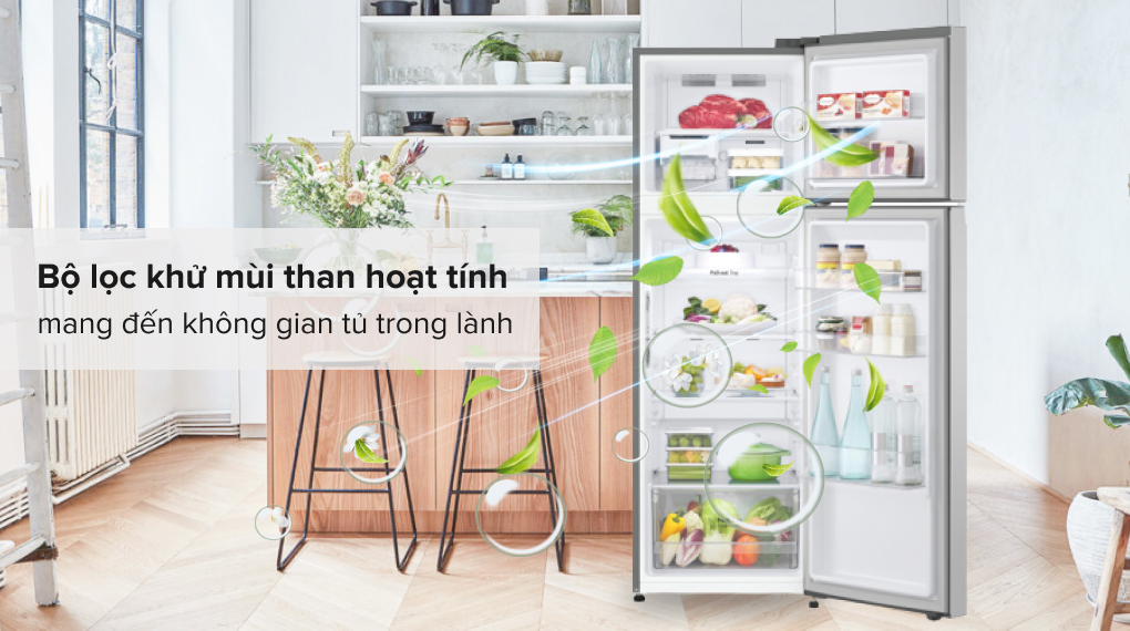 Tủ Lạnh LG Inverter 266 Lít GV-B262PS