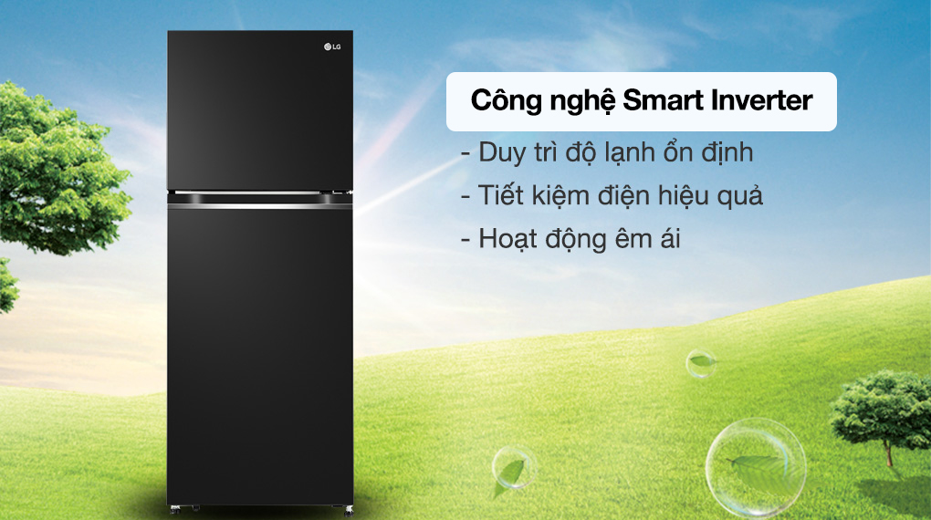 Tủ lạnh LG 217 lít LTB21BLMD