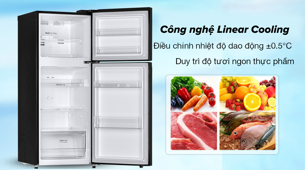 Tủ lạnh LG 217 lít LTB21BLMD