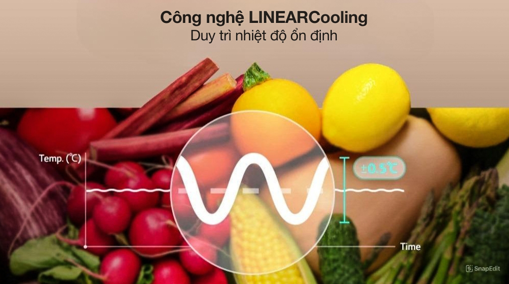 Tủ lạnh LG 217 lít LTB21SVMD