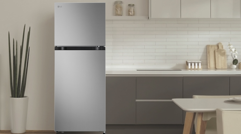 Tủ lạnh LG 217 lít LTB21SVMD