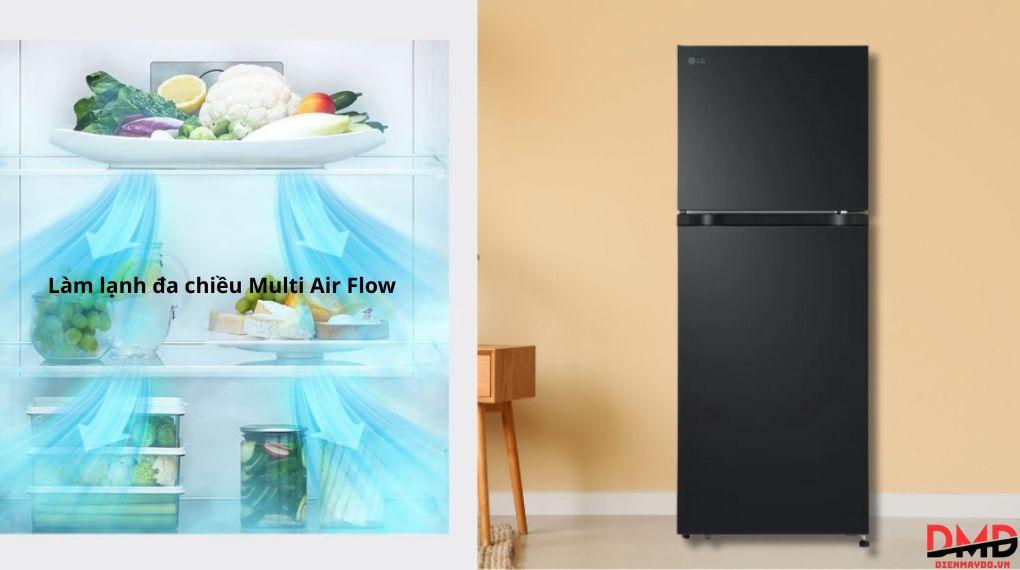 Tủ lạnh LG Inverter 217 lít LTB21BLMI
