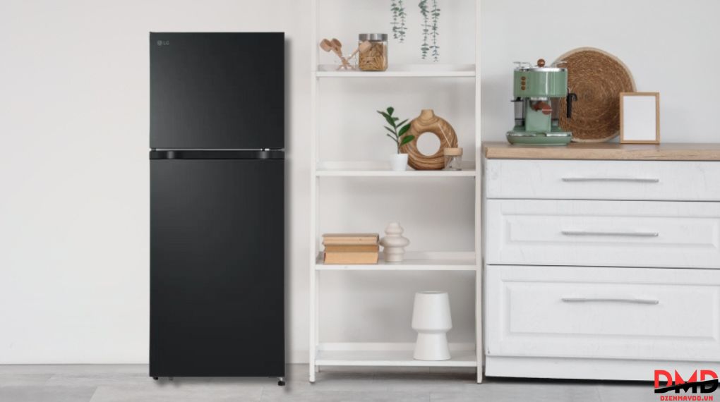 Tủ lạnh LG Inverter 217 lít LTB21BLMI