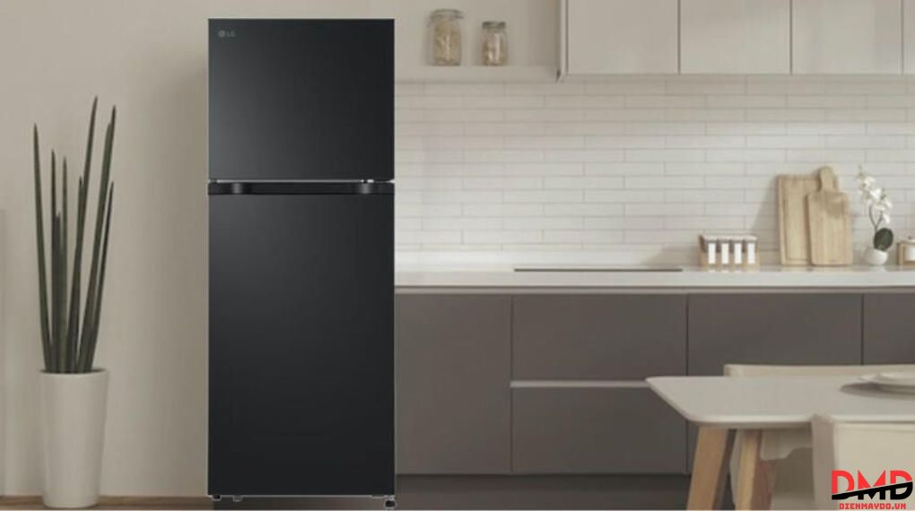 Tủ lạnh LG Inverter 217 lít T21BG