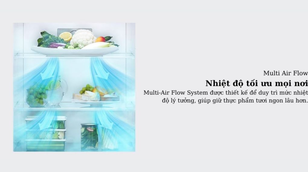 Tủ lạnh LG Inverter 266 lít LTB26BLM