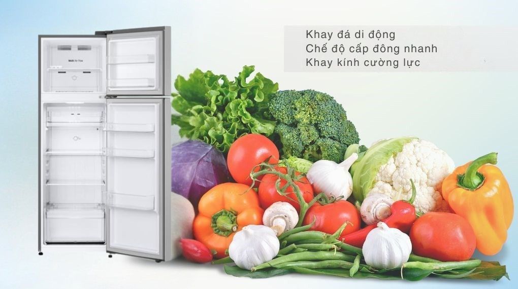 Tủ lạnh LG Inverter 266 lít LTB26SVM