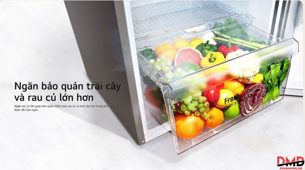Tủ lạnh LG Inverter 266 lít T26BG