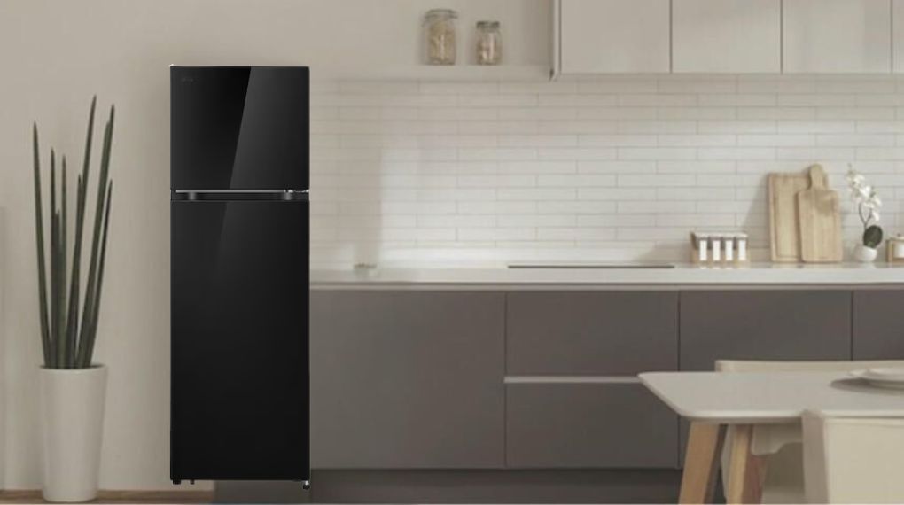 Tủ lạnh LG Inverter 266 lít T26BG
