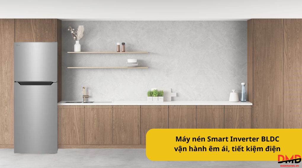 Tủ lạnh LG Inverter 292 lít T30SV
