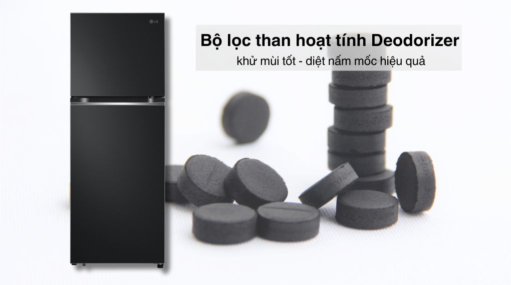 Tủ lạnh LG Inverter 315 lít LTB31BLM
