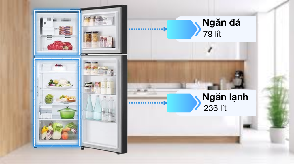 Tủ lạnh LG Inverter 315 lít LTB31BLMA