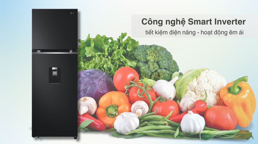 Tủ lạnh LG Inverter 334 lít LTD33BLM
